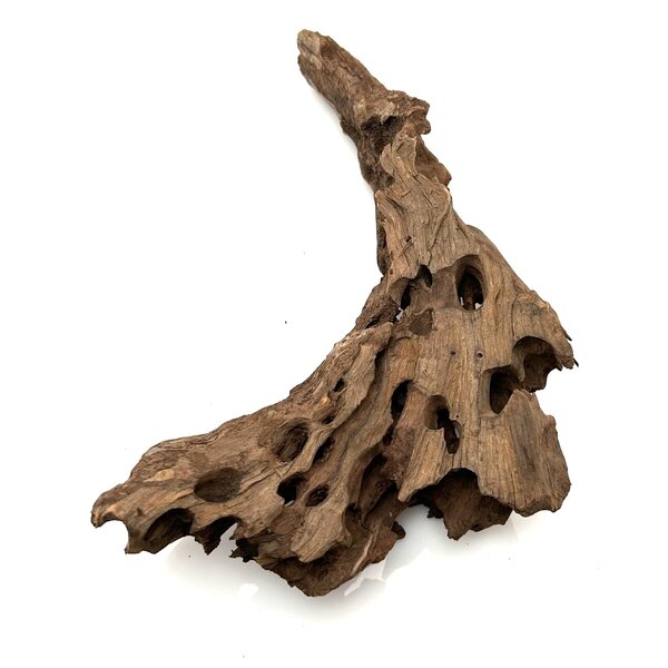 Garnelenmarkt Drachenholz #05