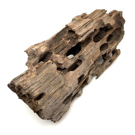 Garnelenmarkt Drachenholz #03