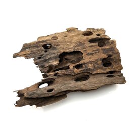 Garnelenmarkt Drachenholz #02