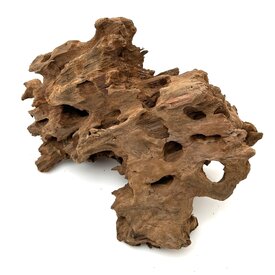 Garnelenmarkt Drachenholz #01