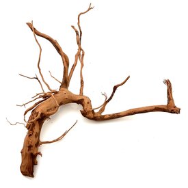 Garnelenmarkt Curl Wood #12 (45x38x12 cm)