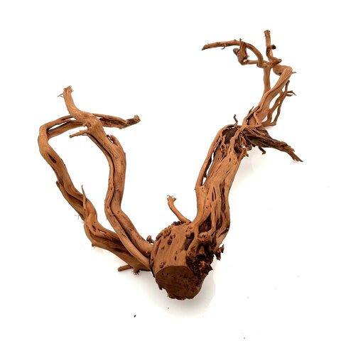 Curl Wood #13 (37x28x13 cm)