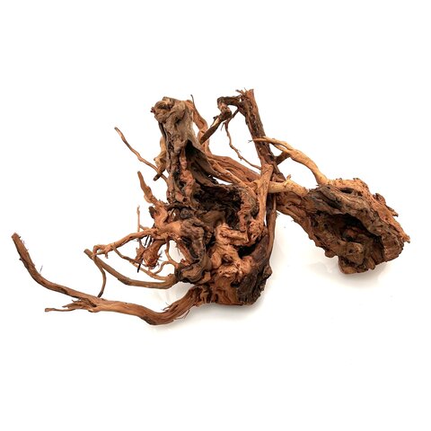 Curl Wood #14 (38x36x24 cm)