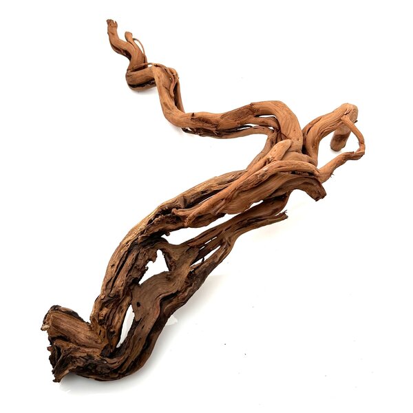 Garnelenmarkt Curl Wood #16