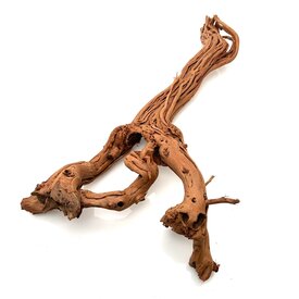 Garnelenmarkt Curl Wood #18 (50x28x11 cm)