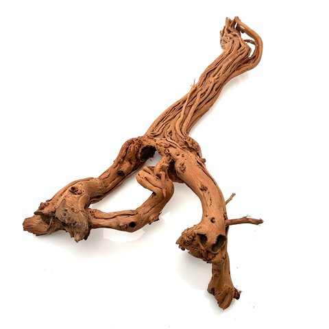 Curl Wood #18 (50x28x11 cm)