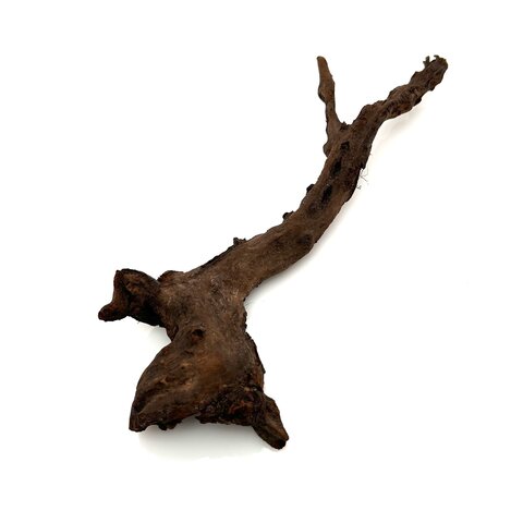 Flusswurzel #5  (28x9x5 cm)