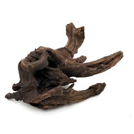 Garnelenmarkt Flusswurzel #13 (18x22x15 cm)