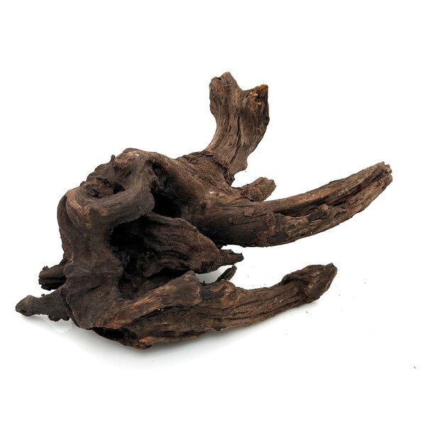 Garnelenmarkt Flusswurzel #13