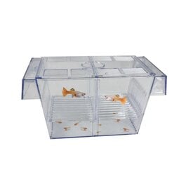 Garnelenmarkt Schwimmendes Aufzuchtbecken