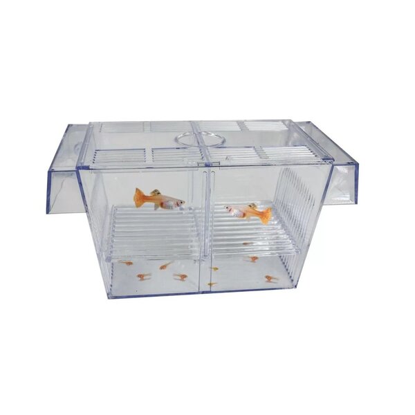 Garnelenmarkt Schwimmendes Aufzuchtbecken