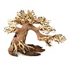 Aqua Bonsai #S4