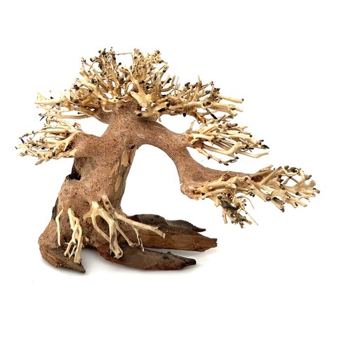 Aqua Bonsai #S4
