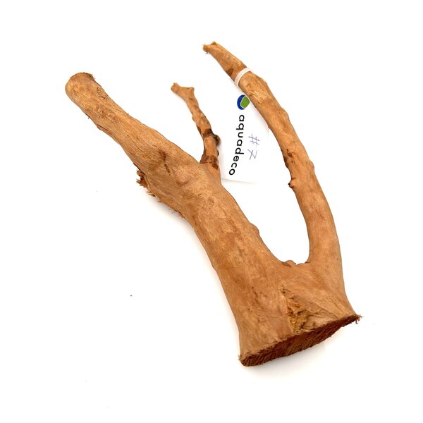 Garnelenmarkt Rote Moorwurzel klein xs #7