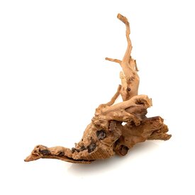 Garnelenmarkt Rote Moorwurzel klein xs #10 (ca. 10x15x20 cm)