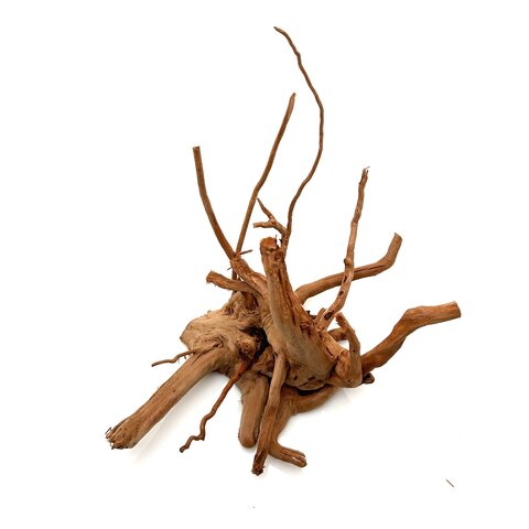 Rote Moorwurzel klein xs #20 (ca. 10x15x20 cm)