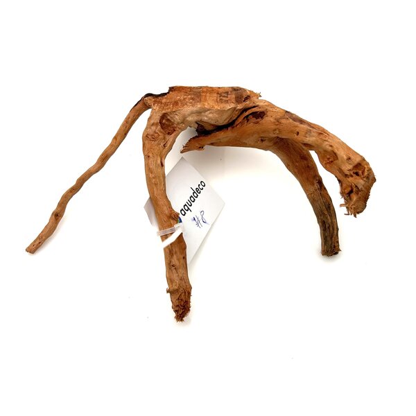 Garnelenmarkt Rote Moorwurzel klein xs #8