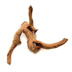 Garnelenmarkt Rote Moorwurzel klein xs #4 (ca. 10x15x20 cm)