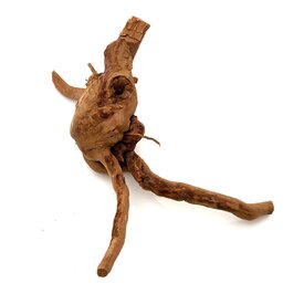 Garnelenmarkt Rote Moorwurzel klein xs #13 (ca. 10x15x20 cm)