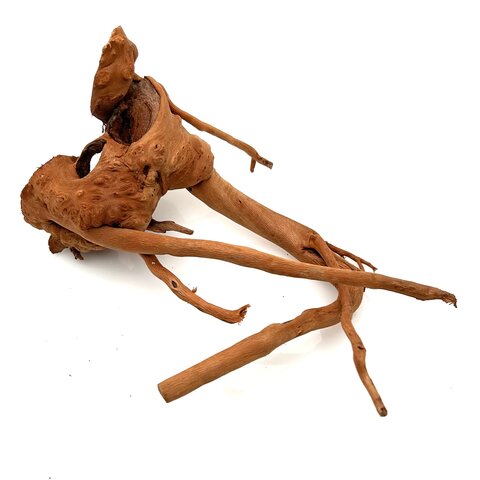 Rote Moorwurzel klein xs #2 (ca. 10x15x20 cm)