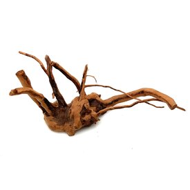 Garnelenmarkt Rote Moorwurzel klein xs #17 (ca. 10x15x20 cm)