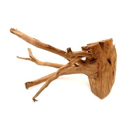 Garnelenmarkt Rote Moorwurzel klein xs #6 (ca. 10x15x20 cm)