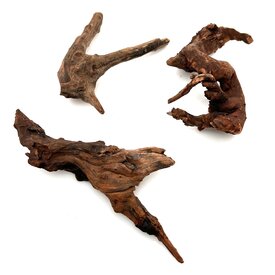 Garnelenmarkt Flusswurzel klein - ohne Nummer