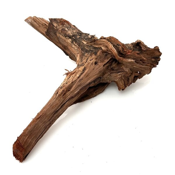 Garnelenmarkt Flusswurzel #18