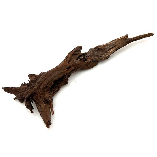 Garnelenmarkt Flusswurzel #17