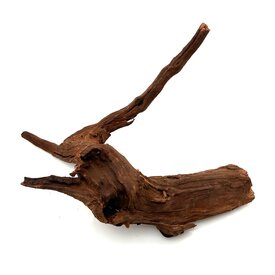 Garnelenmarkt Flusswurzel #6 (24x27x18 cm)