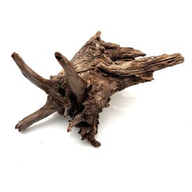 Garnelenmarkt Flusswurzel #1 (34x19x25 cm)