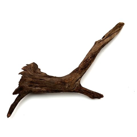 Flusswurzel #32 (37x14x5 cm)