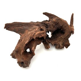 Garnelenmarkt Flusswurzel #29 (34x25x17 cm)