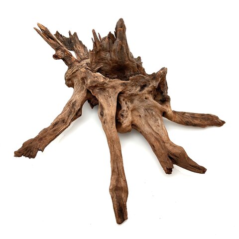 Flusswurzel #25 (35x30x18 cm)