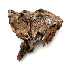 Garnelenmarkt Flusswurzel #11 (17x13x7 cm)