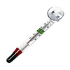 Glas Thermometer Precise