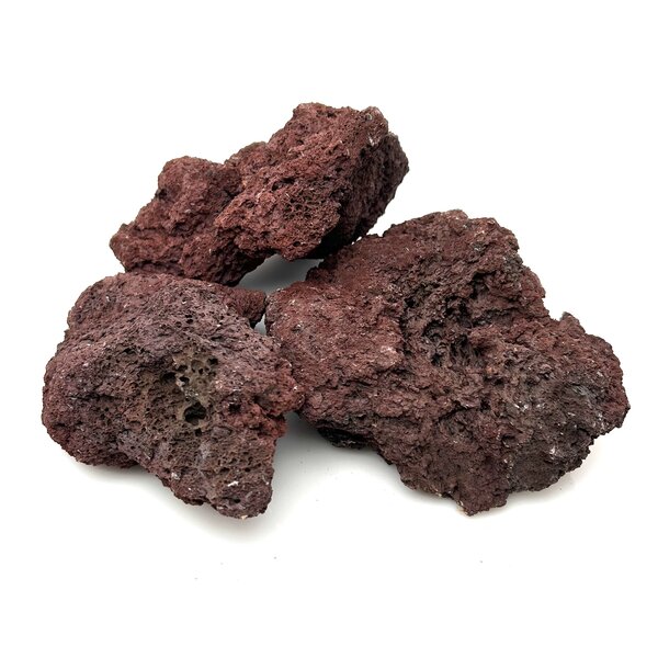Garnelenmarkt Premium Lava Rot Grösse S, M und L