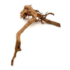 Garnelenmarkt Rote Moorwurzel #12 (43x28x12 cm)