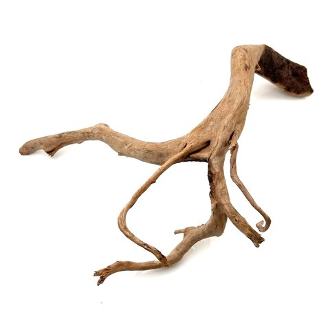 Rote Moorwurzel #2 (42x24x13 cm)