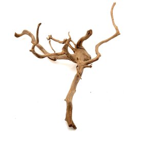 Garnelenmarkt Rote Moorwurzel #21 (53x47x23 cm)