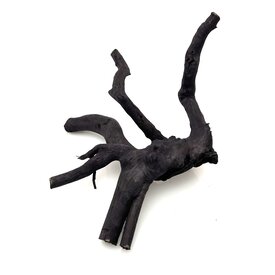 Garnelenmarkt Schwarze Moorwurzel klein xs #8