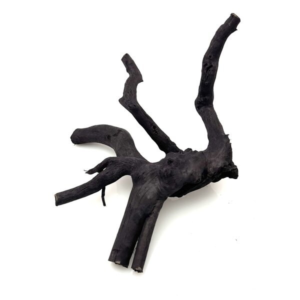 Garnelenmarkt Schwarze Moorwurzel klein xs #8