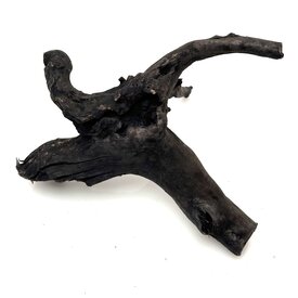 Garnelenmarkt Schwarze Moorwurzel klein xs #5