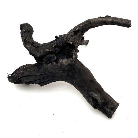 Schwarze Moorwurzel klein xs #5