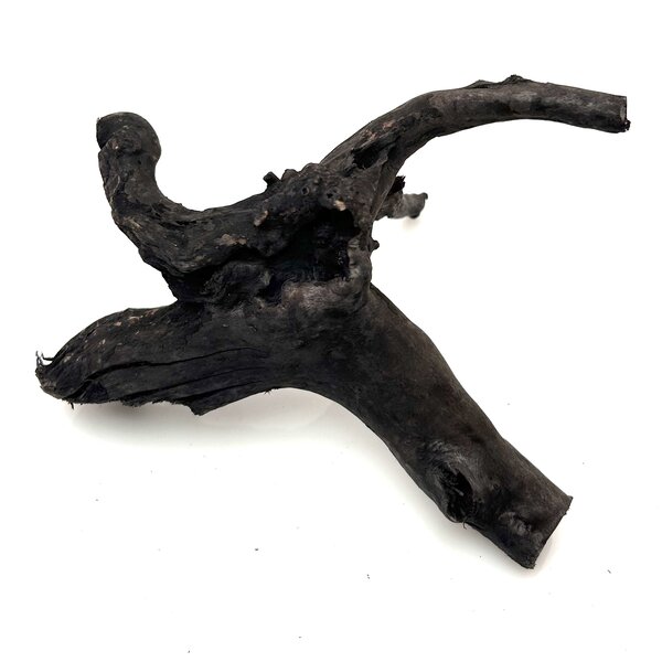 Garnelenmarkt Schwarze Moorwurzel klein xs #5
