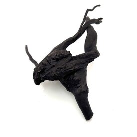 Garnelenmarkt Schwarze Moorwurzel klein xs #4