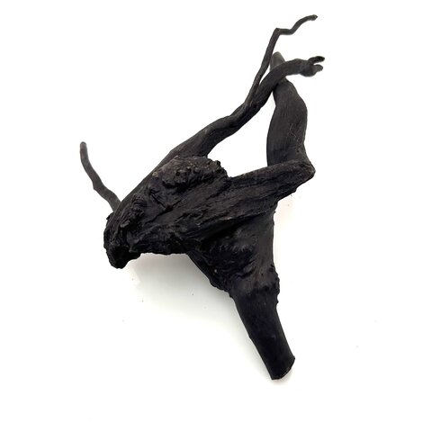 Schwarze Moorwurzel klein xs #4