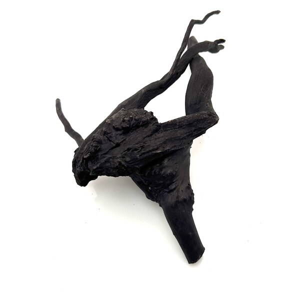 Garnelenmarkt Schwarze Moorwurzel klein xs #4