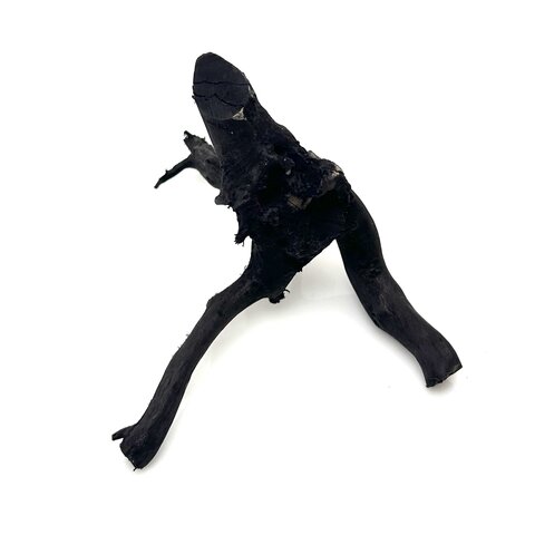 Schwarze Moorwurzel klein xs #3