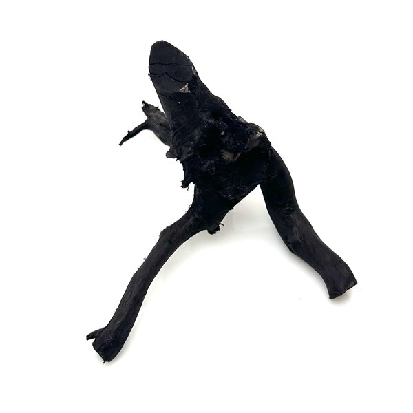 Garnelenmarkt Schwarze Moorwurzel klein xs #3